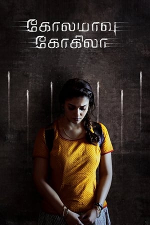 Kolamavu Kokila (2018) Hindi Dual Audio 480p UnCut HDRip 450MB - Movierulz