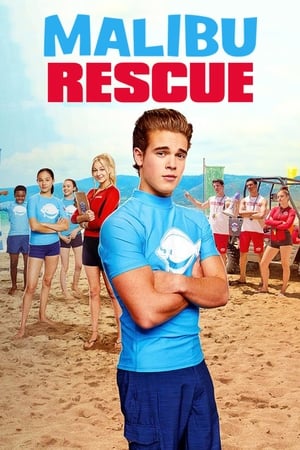 Malibu Rescue (2019) Hindi Dual Audio 720p HDRip [1.4GB] - Movierulz